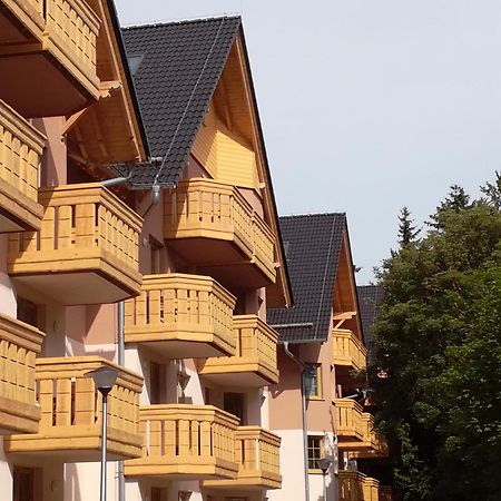 Apartament Podgorze 21 Apartment Szklarska Poręba Exterior foto